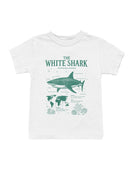 White Shark Anatomy and Habitat Youth's T-shirt