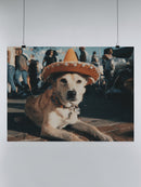 Fiesta Canine in Sombrero UN Poster