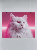 Fluffy White Cat in Neon Pink UN Poster