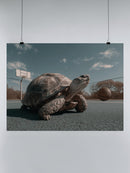 Tortoise Basketball Court Fun UN Poster