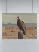 Desert Vulture Vintage Landscape UN Poster