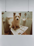 Bathroom Dog with Newspaper Humor UN Poster
