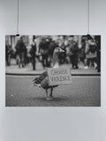 Goose with "Choose Violence" Sign UN Poster