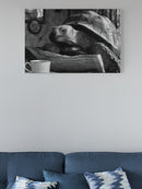 Tortoise Reading Morning News UN Poster