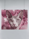 Sphynx Cat with Pink Glitter Spheres UN Poster