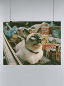 Market Cat Among Spice Boxes UN Poster