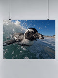 Surfing Penguin Ocean Adventure UN Poster