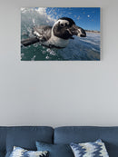 Surfing Penguin Ocean Adventure UN Poster
