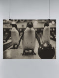 Bowling Penguins Vintage Scene UN Poster