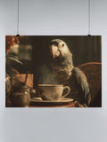 Parrot's Cozy Coffee Break UN Poster