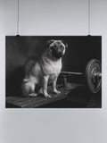 Pug on Vintage Gym Bench UN Poster