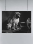 Pug on Vintage Gym Bench UN Poster