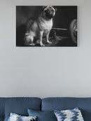 Pug on Vintage Gym Bench UN Poster