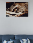 Sleepy Raccoon Office Desk Decor UN Poster
