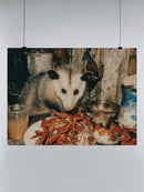 Opossum and Seafood Feast Delight UN Poster