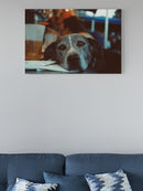 Dog Relaxing at a Cozy Cafe UN Poster